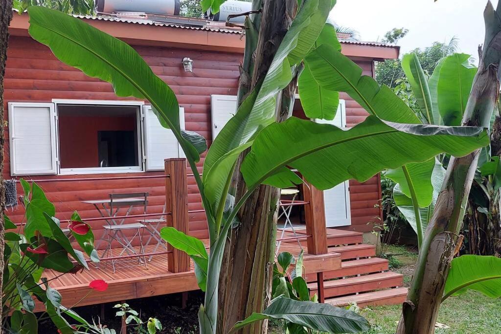 Chalet Les Azalees Le Tampon Esterno foto